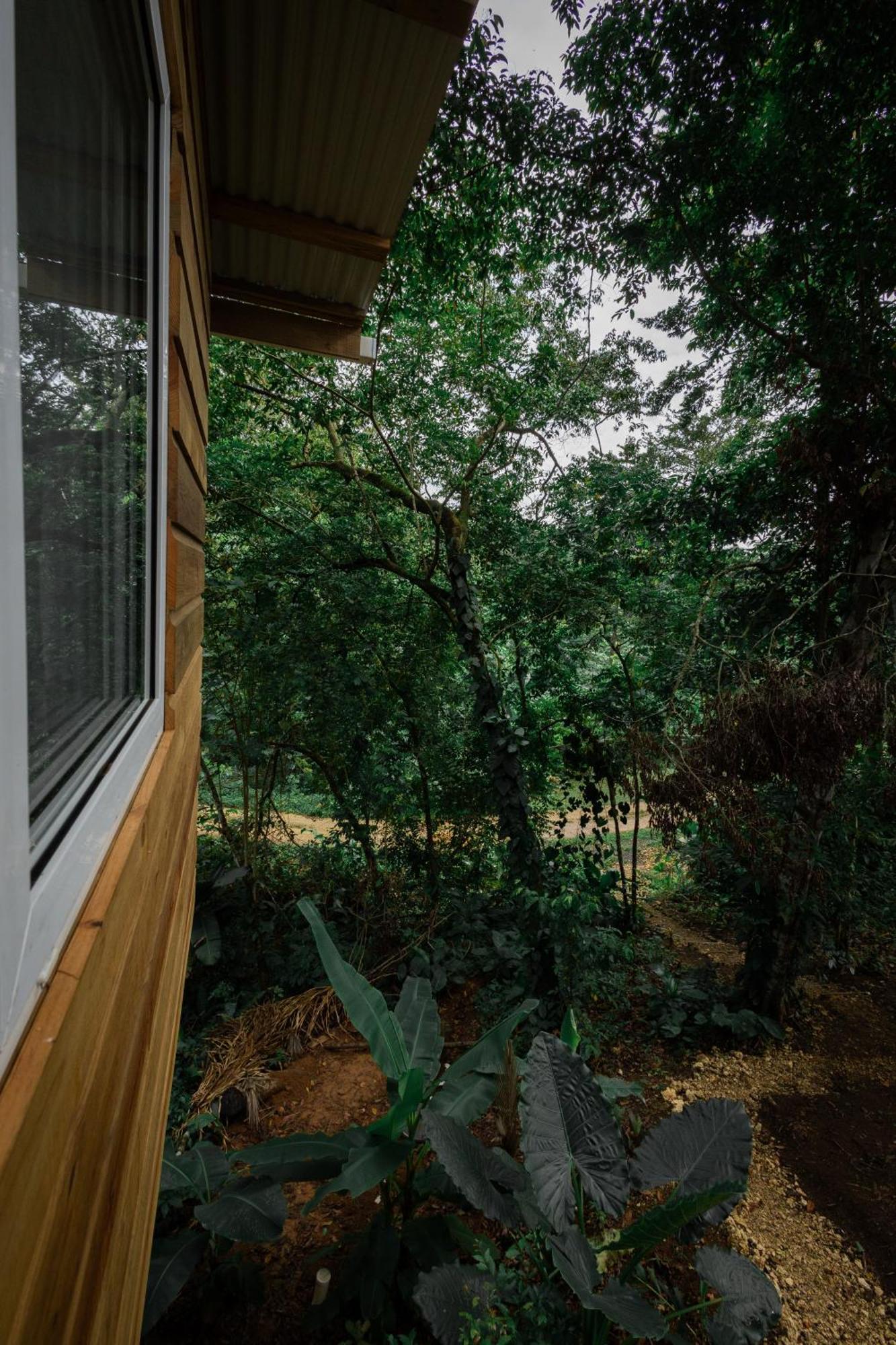 Monkey Tiny House - Private Swimming Pool Villa Big Bight Buitenkant foto